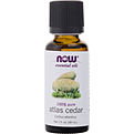 Essential Oils Now