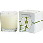 APPLE WOOD - LIMITED EDITION Candles z Exceptional Parfums #209946