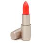 Lancaster Makeup ar Lancaster #221760